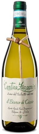 Cantina Zaccagnini - 'Il Bianco di Ciccio' 2021 750ml