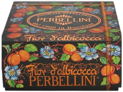 PERBELLINI FIOR D'ALBICOCCA APRICOT BRIOCHE 550G #1908